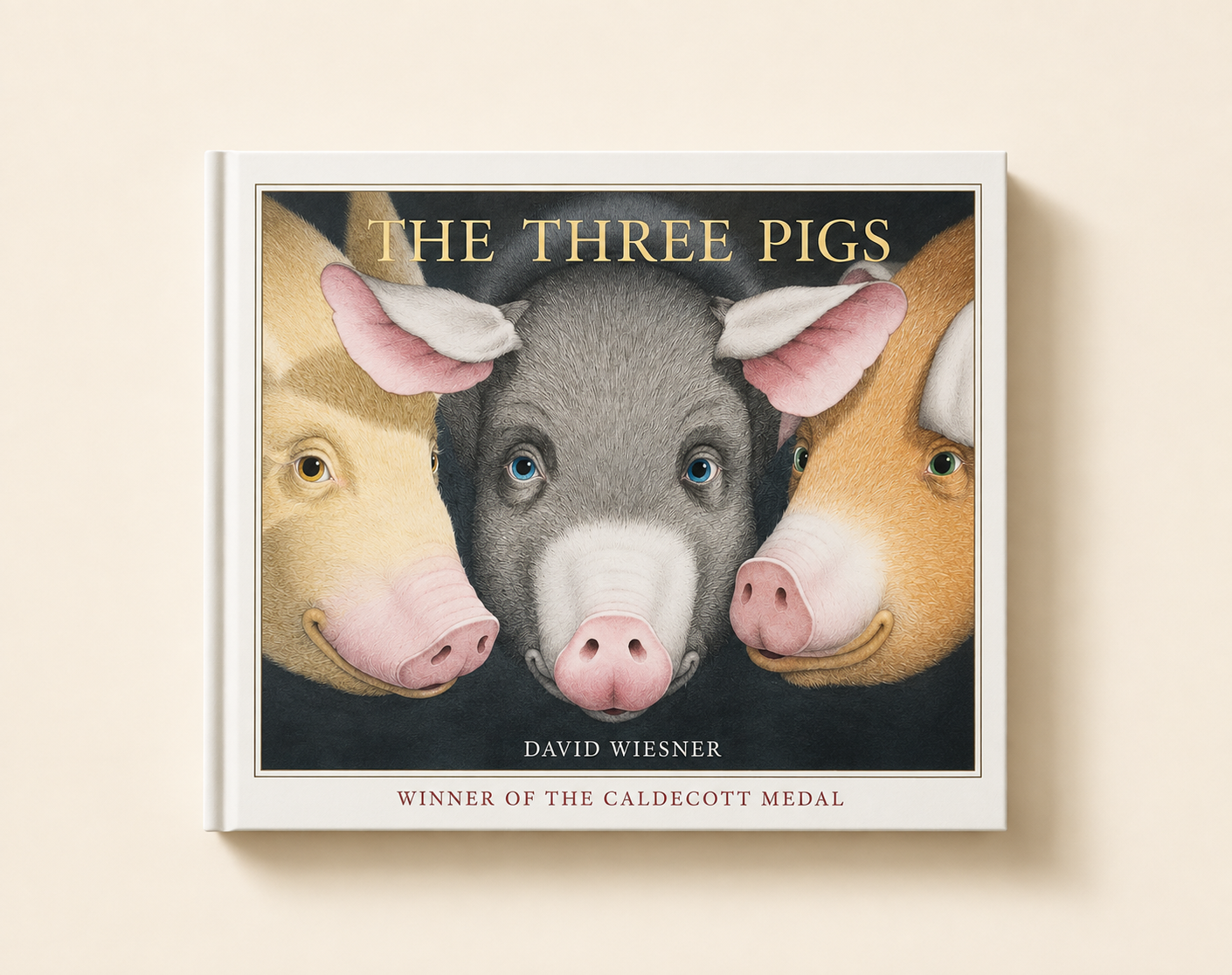 Cover of The Three Pigs by David Wiesner